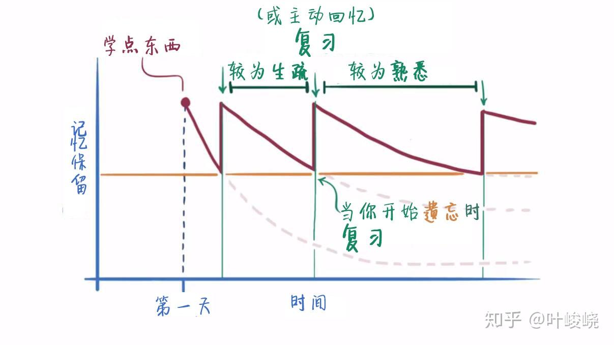 艾宾浩斯记忆曲线到底有没有用