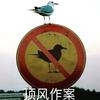 老mim