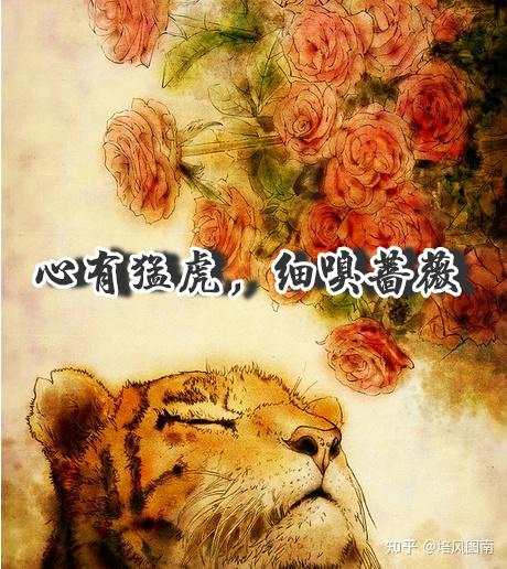 《心有猛虎,细嗅蔷薇》——培风图南 - 知乎