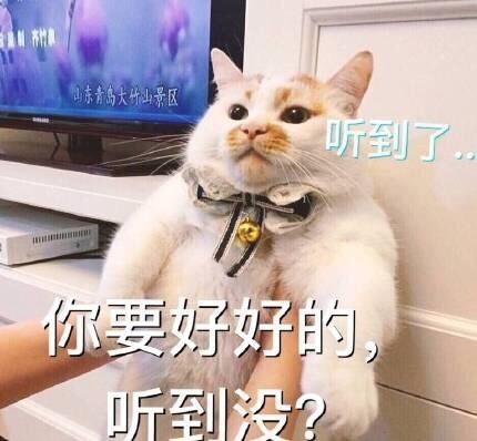 安慰楼妈