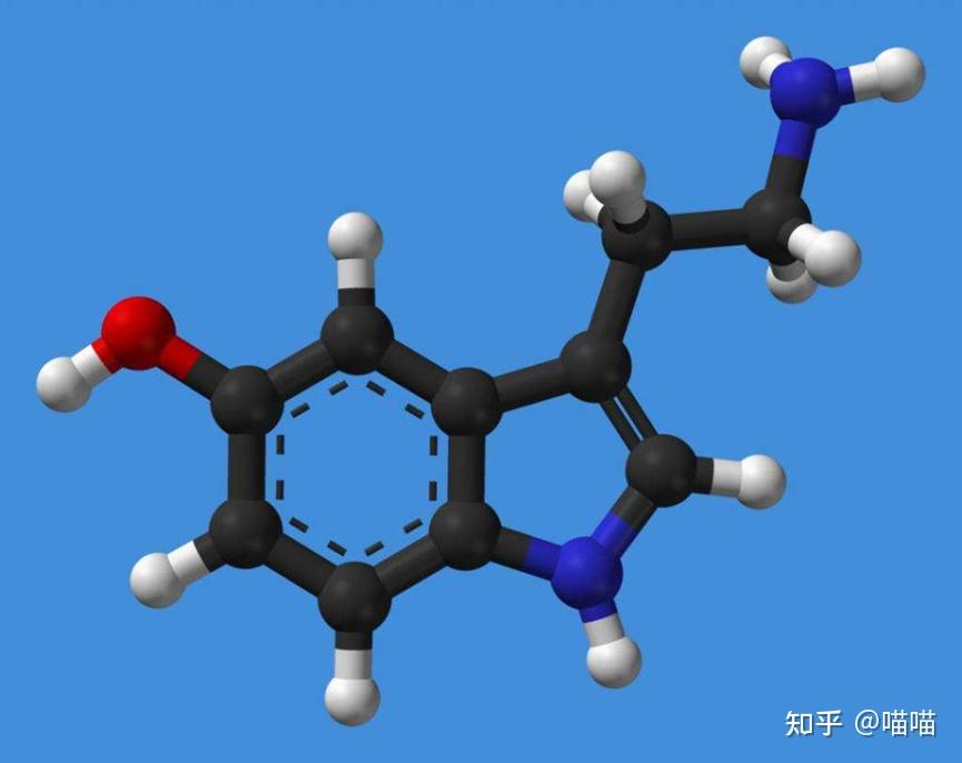 相對於多巴胺,內啡肽才是真正的快樂物質,內啡肽和各種愉悅感都直接