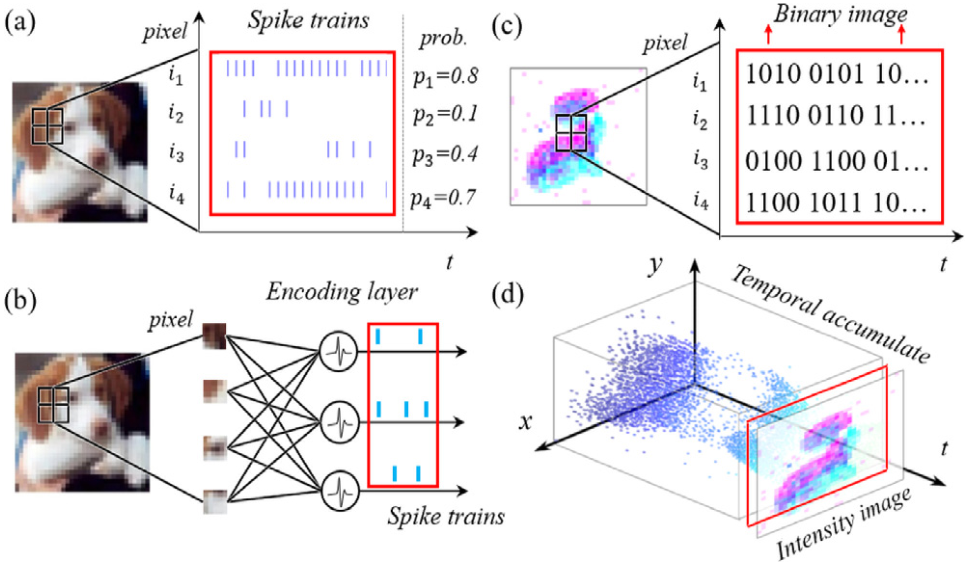 如何看待第三代神经网络snn详解脉冲神经网络的架构原理数据集和训练