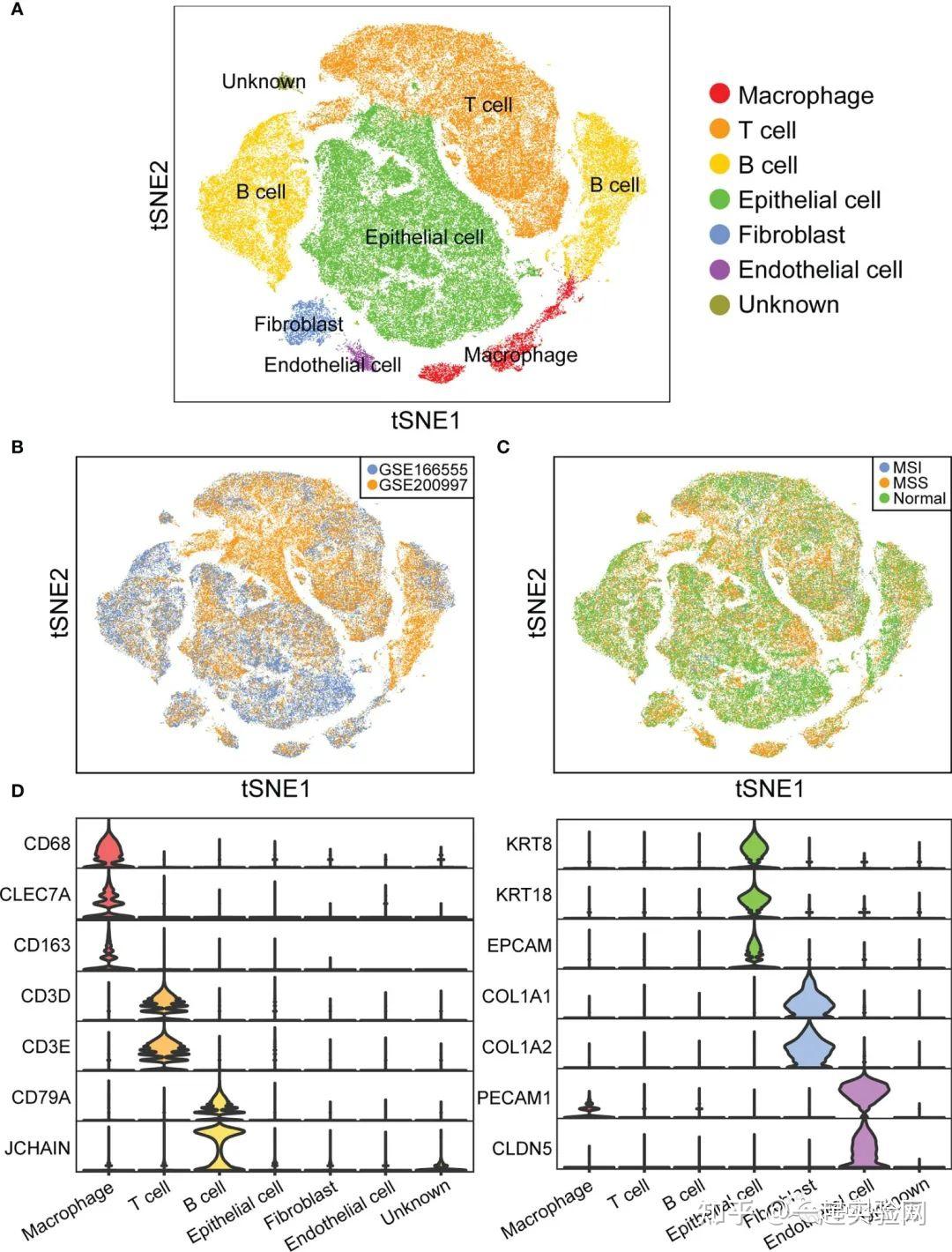 8+单细胞+结直肠癌 知乎
