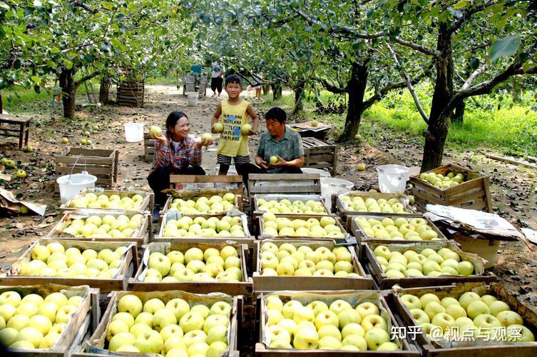 河南宁陵人！蜜雪冰城张红超、张红甫两兄弟身价超1000亿港元！ - 知乎
