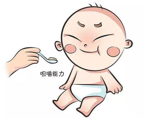 咀嚼能力的发展需要宝宝整个口腔的协调动作,且需要经常的练习,才能