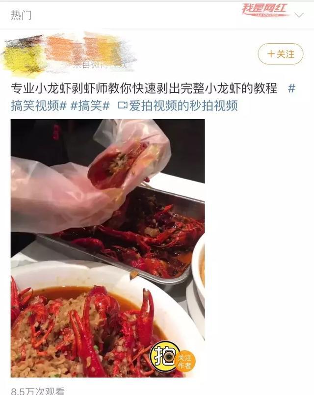 v2-50fcc80ff07100de63c6fc389eb83768_r.jpg