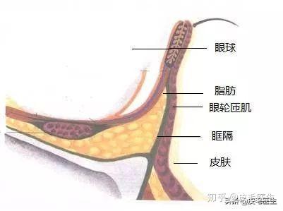 v2-5108f484a5a603f2a484bf3a652080f8_b.jpg