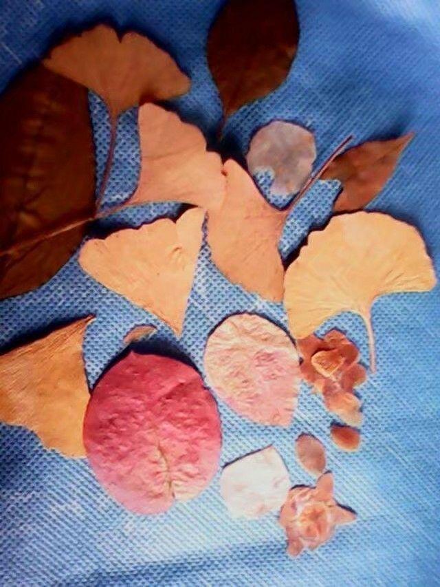 什么事物像什么东西 v2-510aec36f41c4fe2df18d0e4e4f0203f_r.jpg