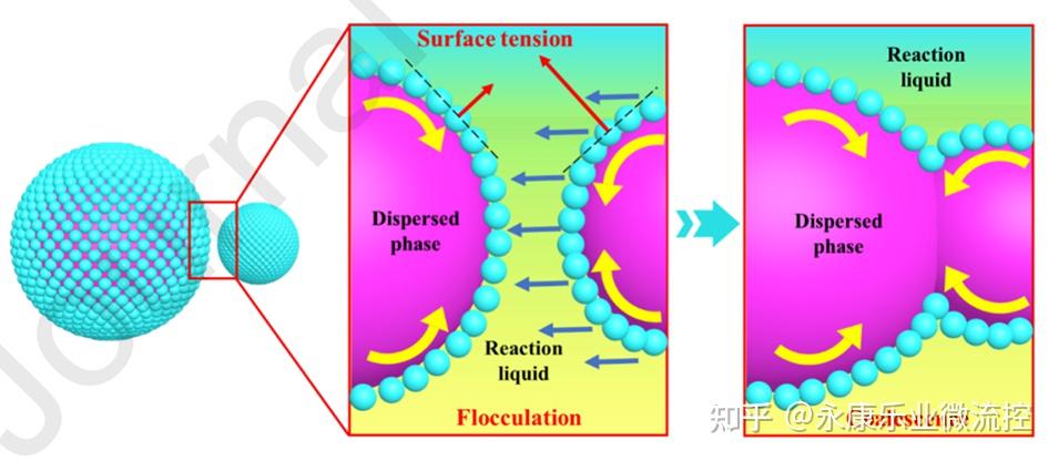 兰州理工大学兰巧团队:微流控法制备壳聚糖基Pickering乳液,开启4-硝基苯酚废水治理新篇章! - 知乎