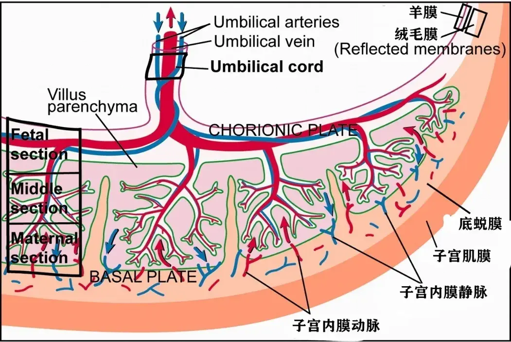 有没有一种气味把你瞬间拉到过去的某一时刻