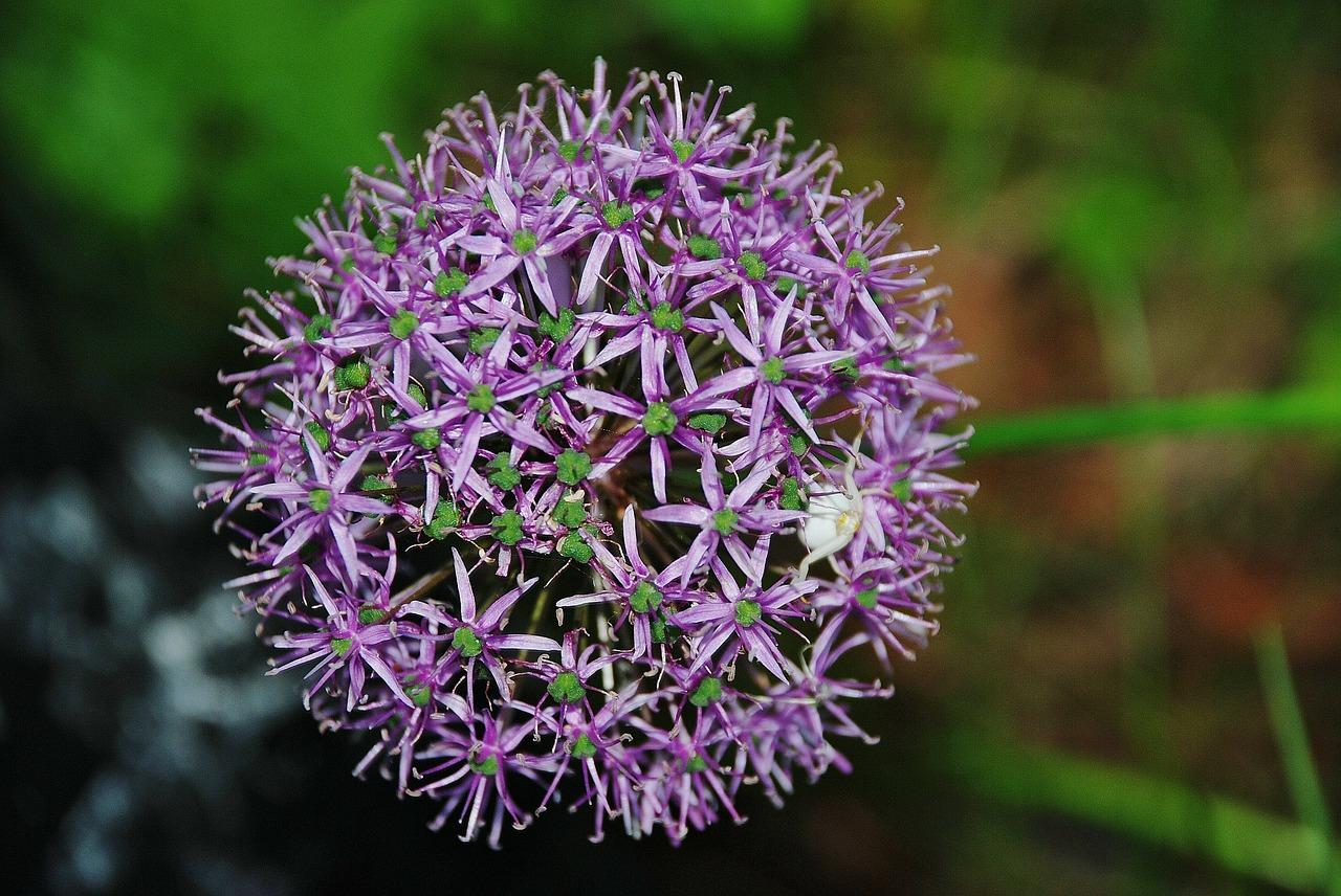 3. 花圃土壤改良