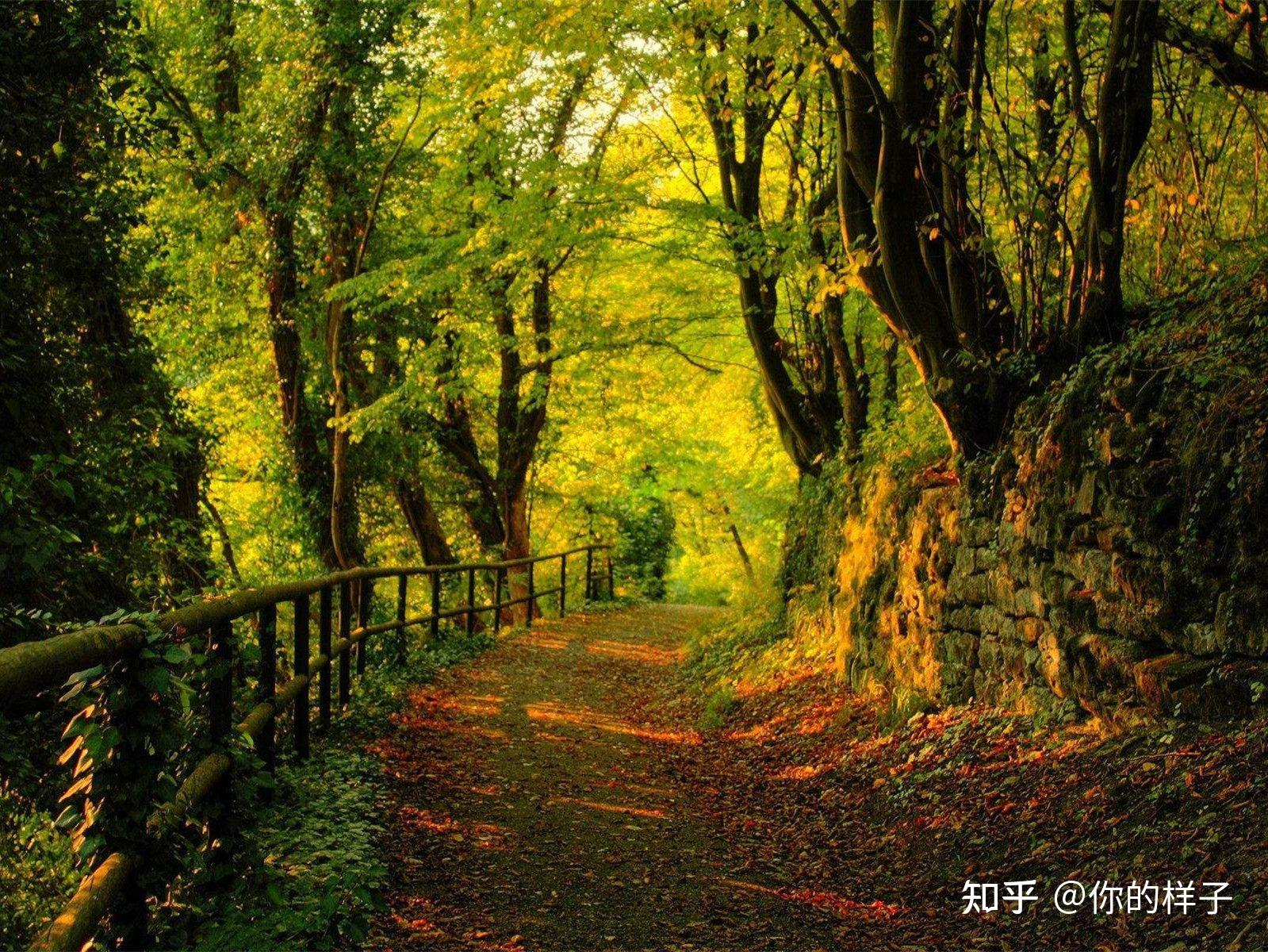 风景描写优美段落摘抄 - 知乎