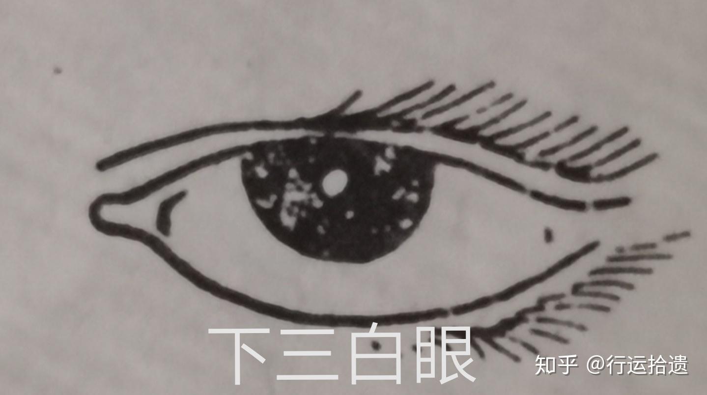 眼相———三白与四白 - 知乎