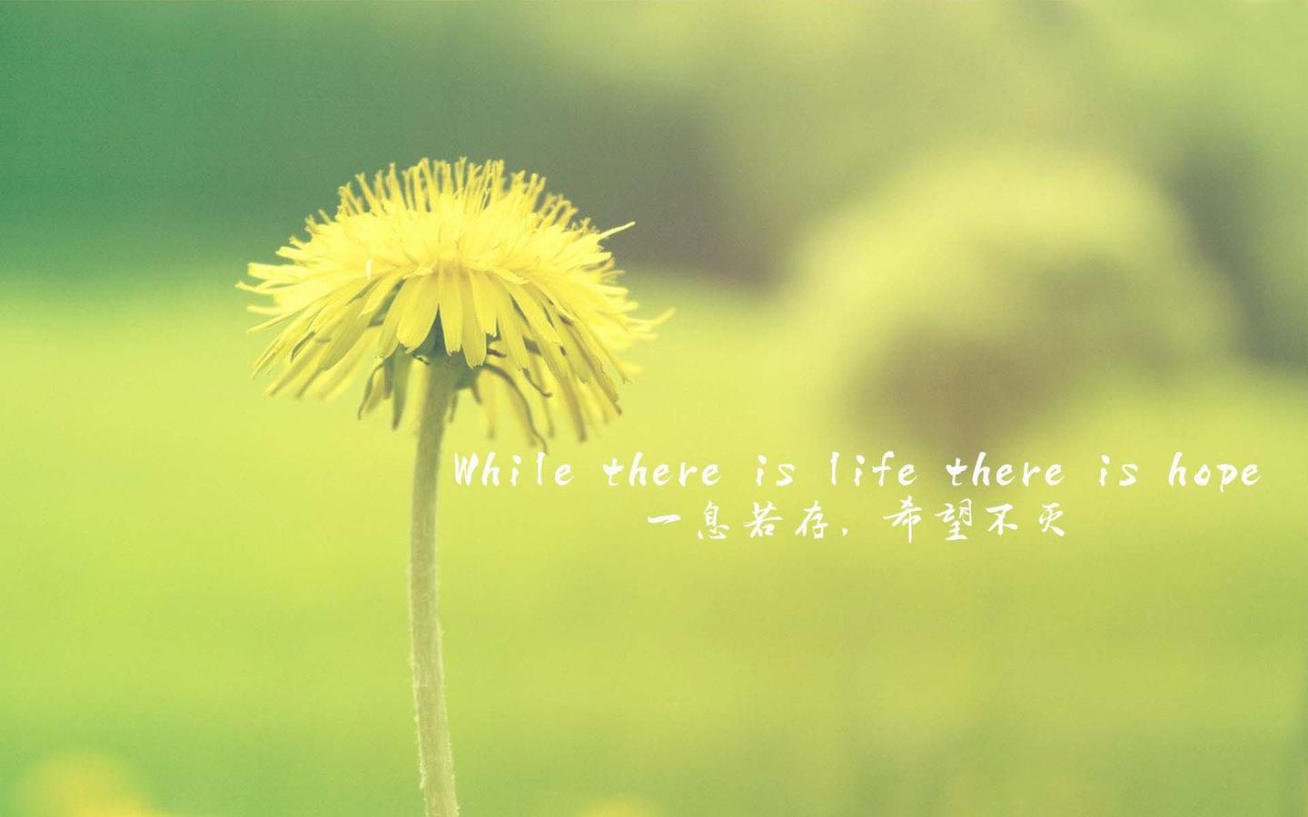 v2-5132f8efd92b524b4884f75405cd8232_1440w.jpg?source=172ae18b