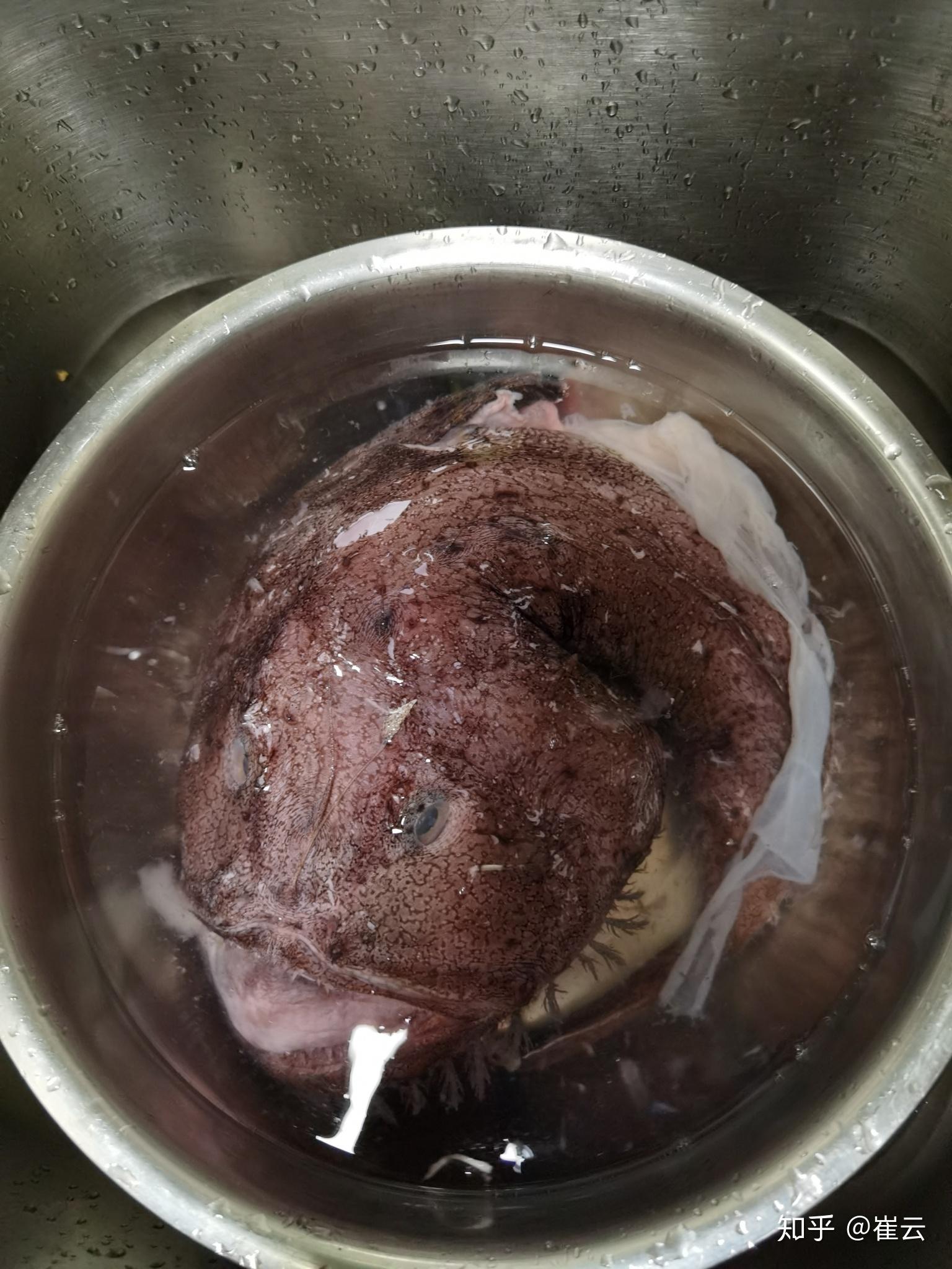 请问这是什么鱼有图片