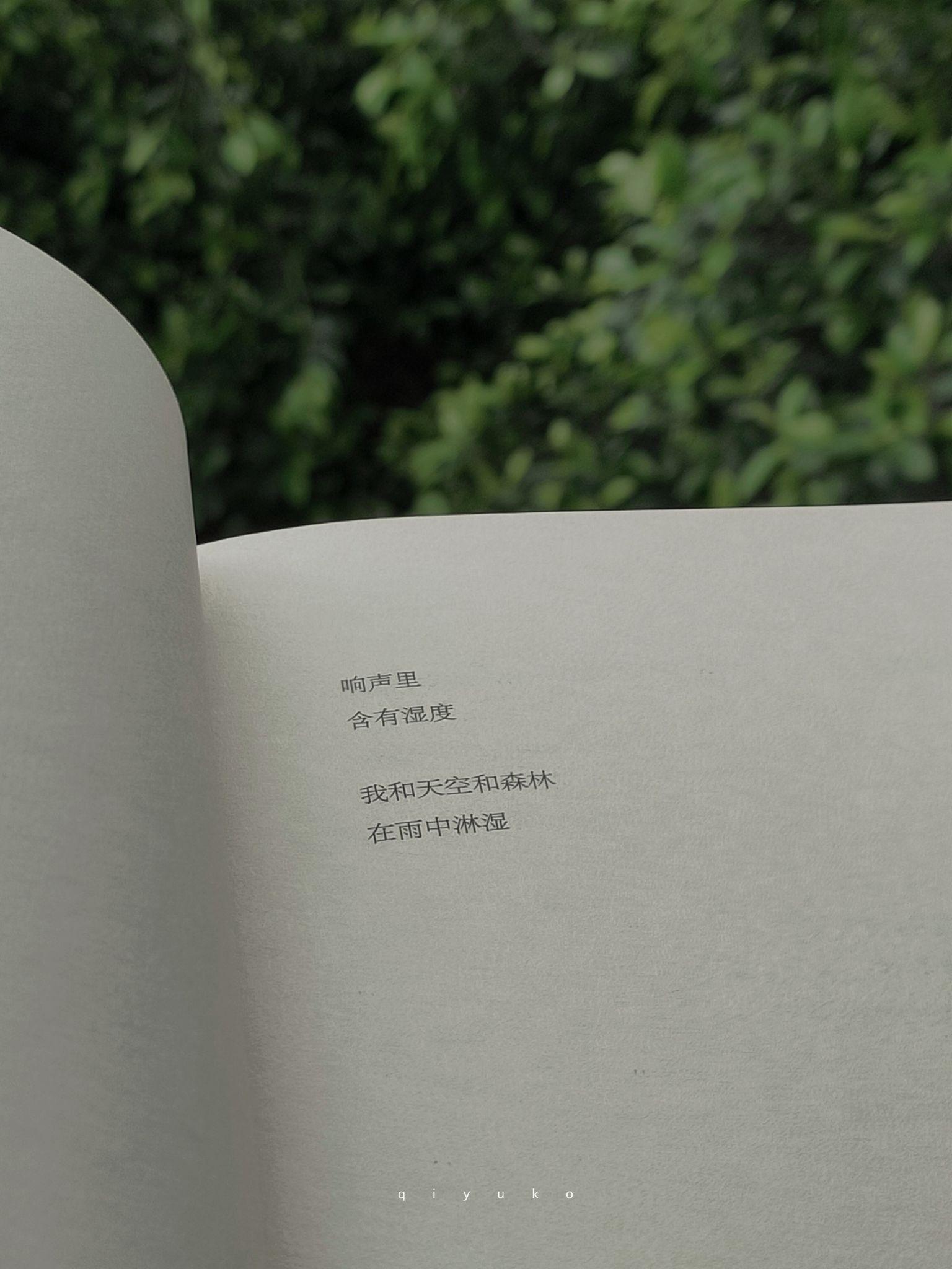 超级好看的绿色系壁纸,在这呢!护眼壁纸(绿色系列的壁纸)