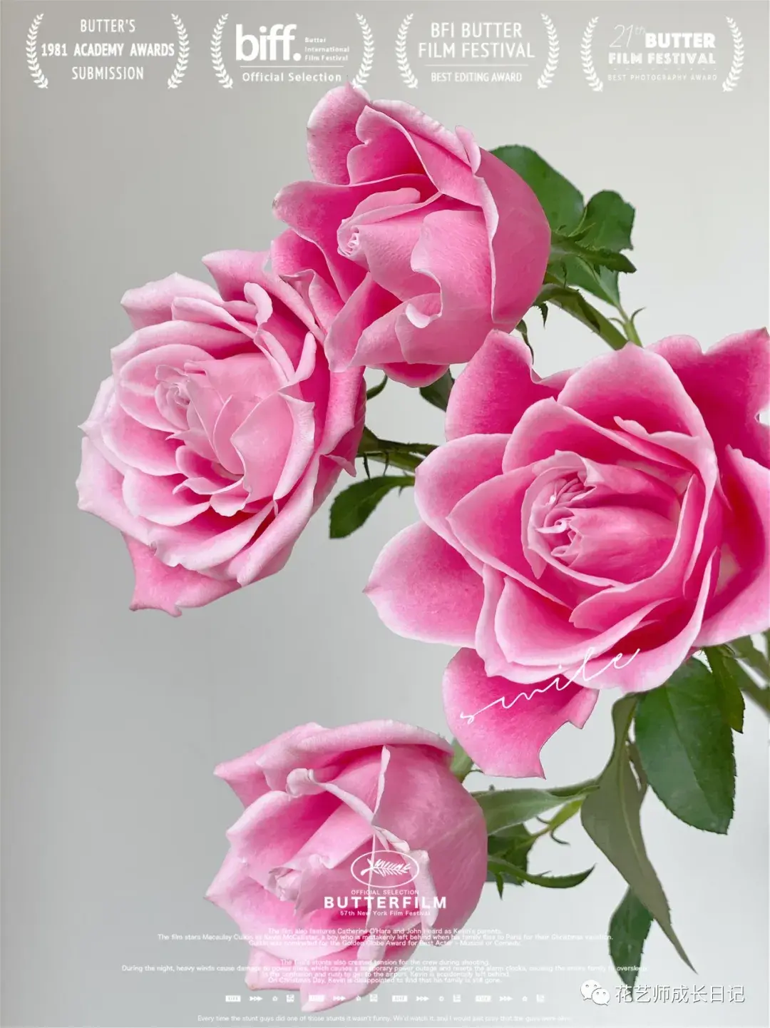 粉玫瑰泰姬图片