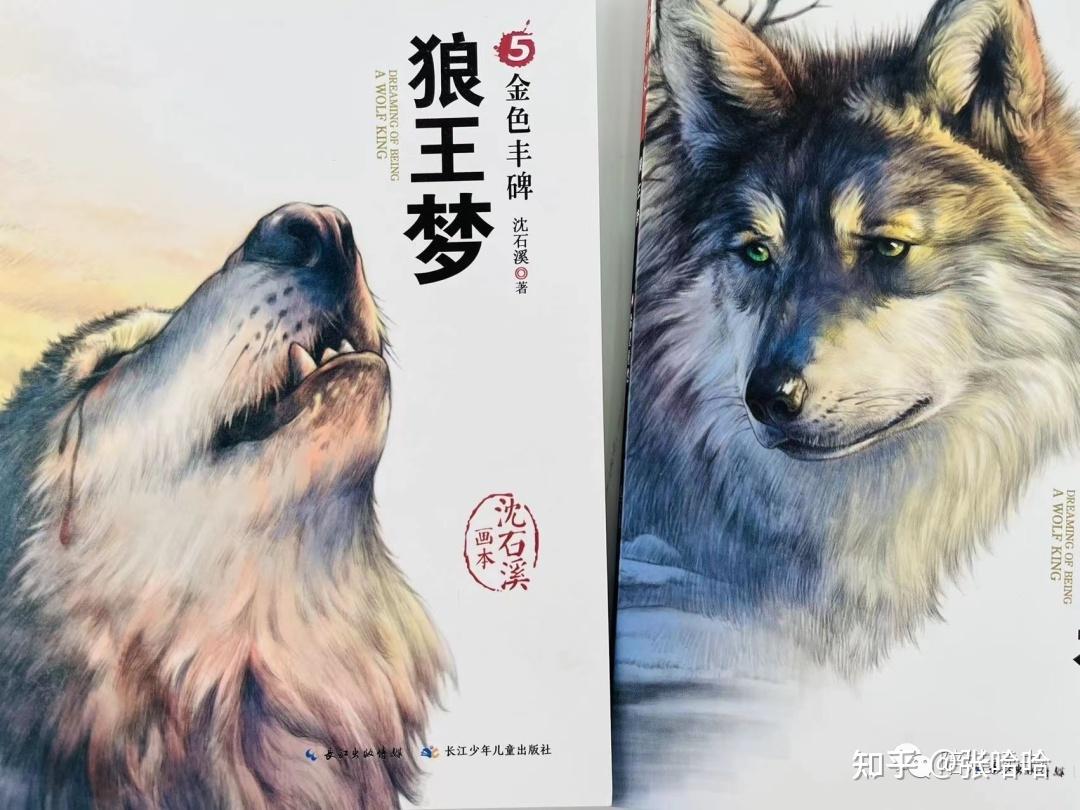 小学生课外必读书目 沈石溪画本《狼王梦》 - 知乎