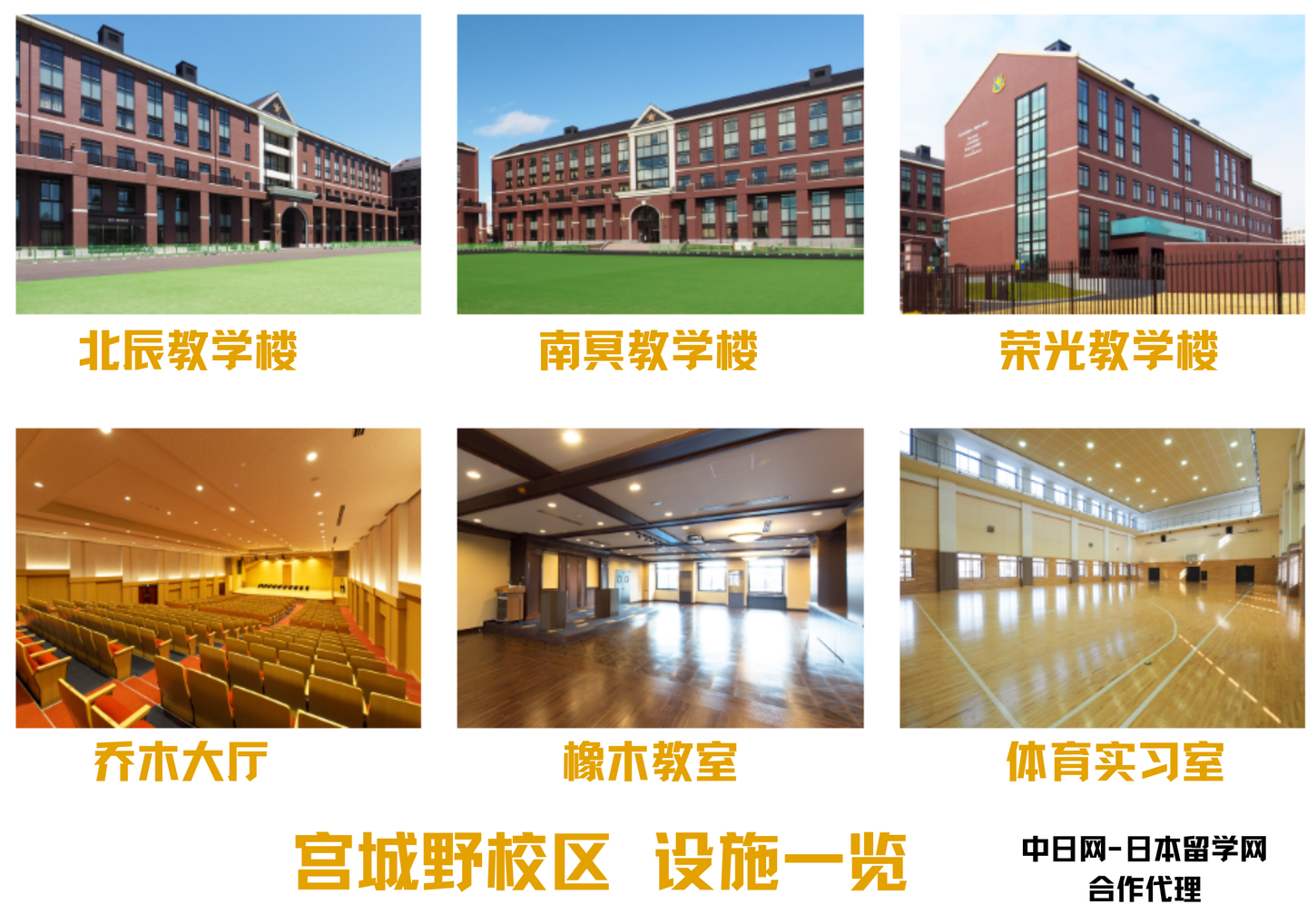 请输入图片描述