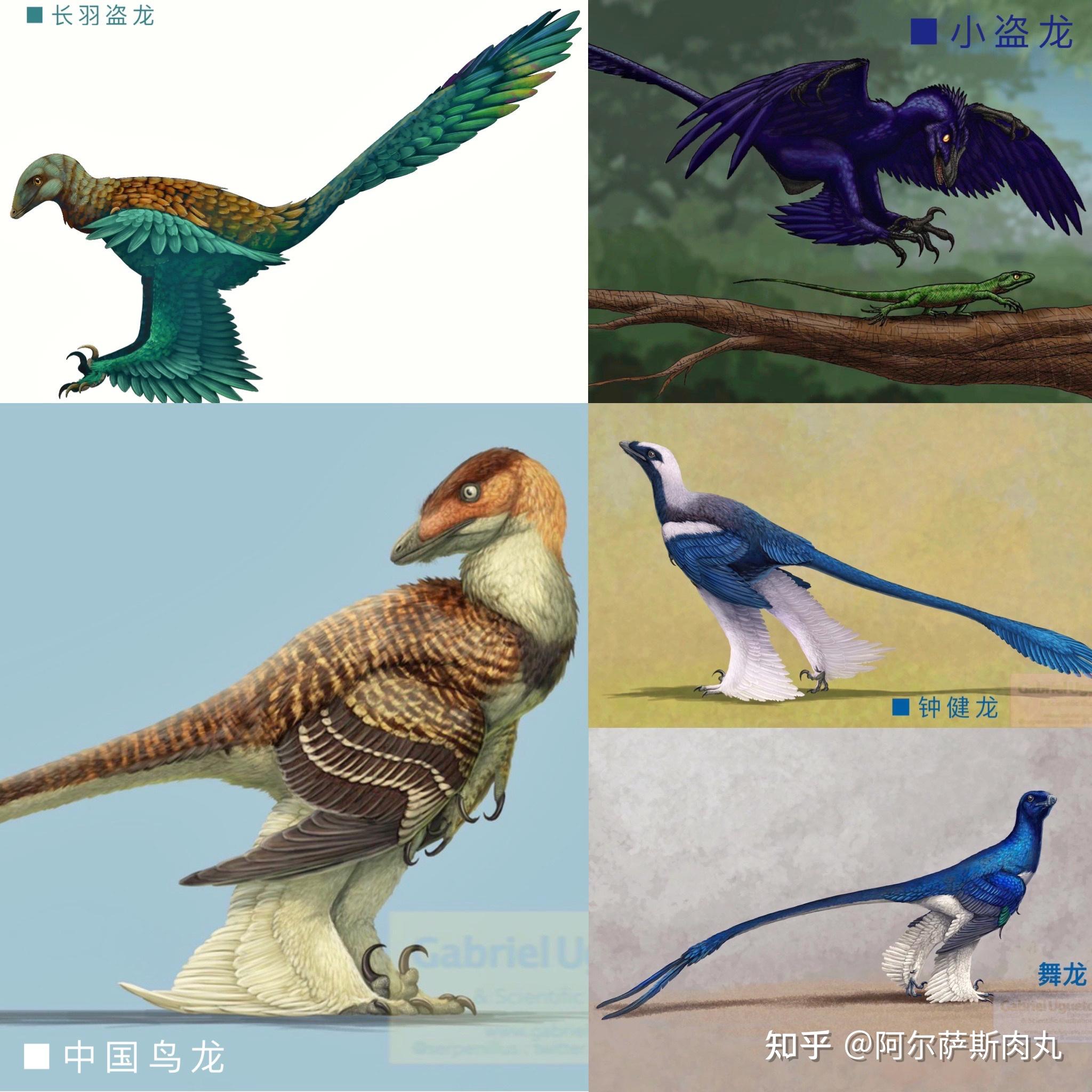 「Legend of Cretaceous丨白垩传 8」龙驰天下（下） - 知乎
