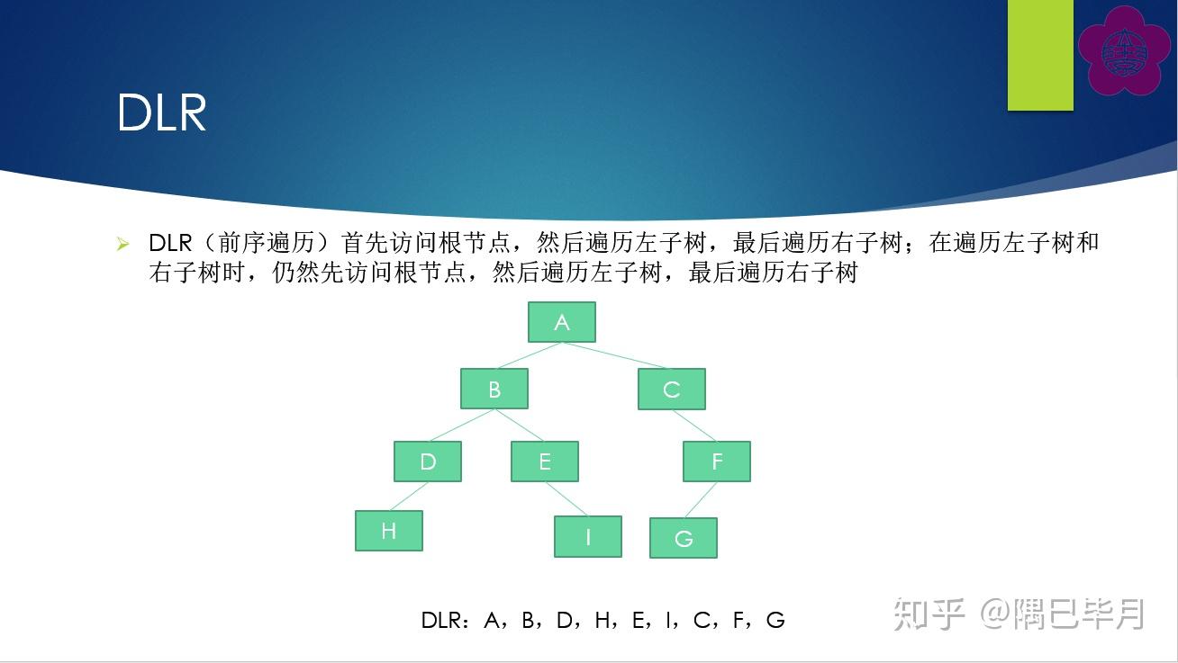 DLR、LDR、LRD及树的基本概念 - 知乎