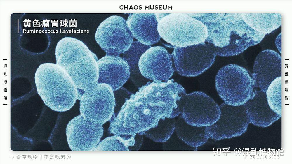 有哪些像伽利略铁球下落实验一样直觉与事实相违背的事? - 知乎