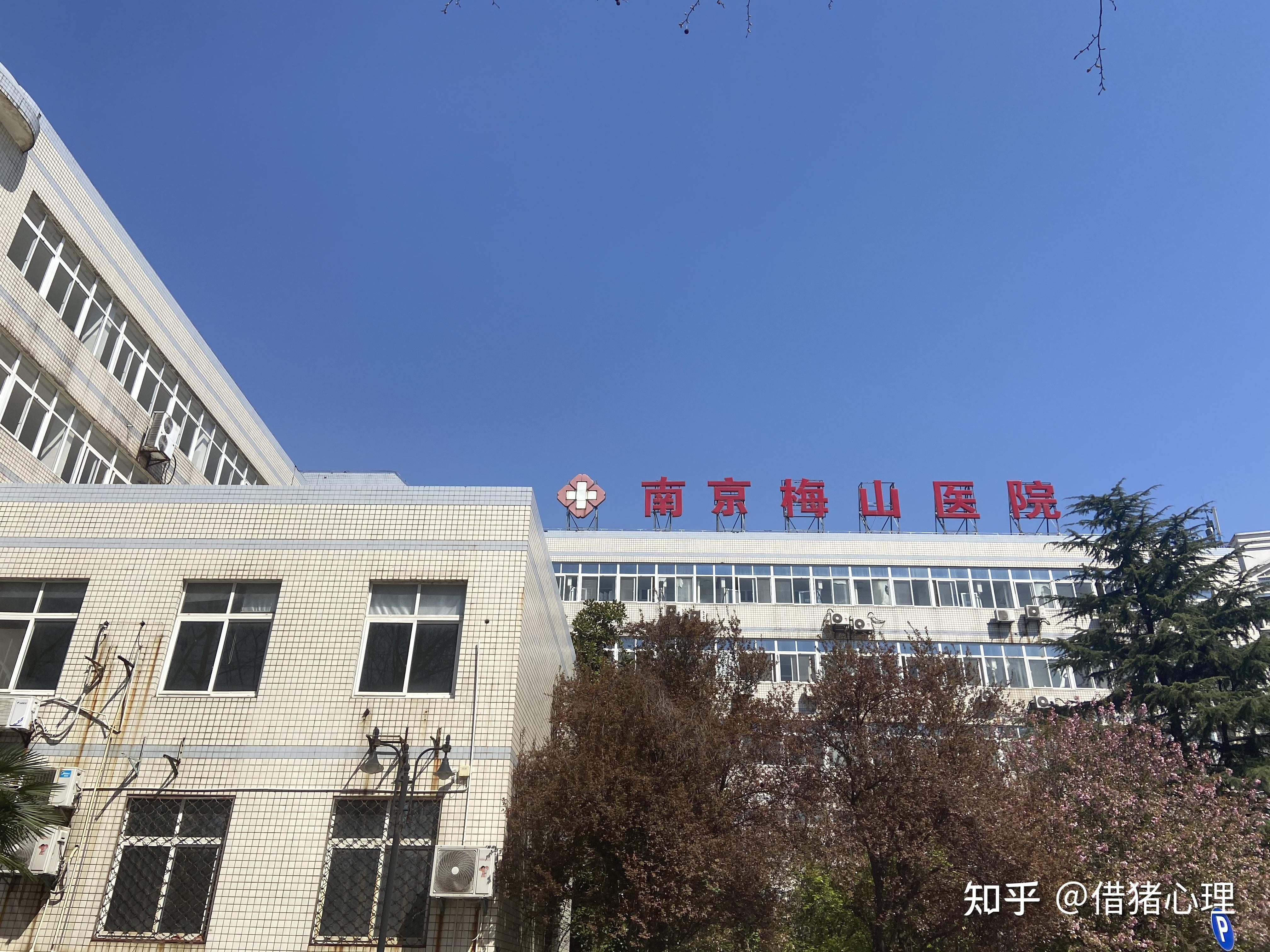 在精神病院当志愿者后我想改变世界