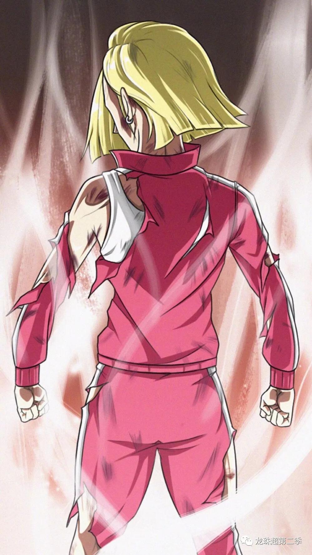 七龙珠壁纸女神18号克林的老婆