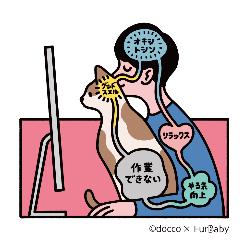 为什么只有吸猫,没有吸狗? - 知乎