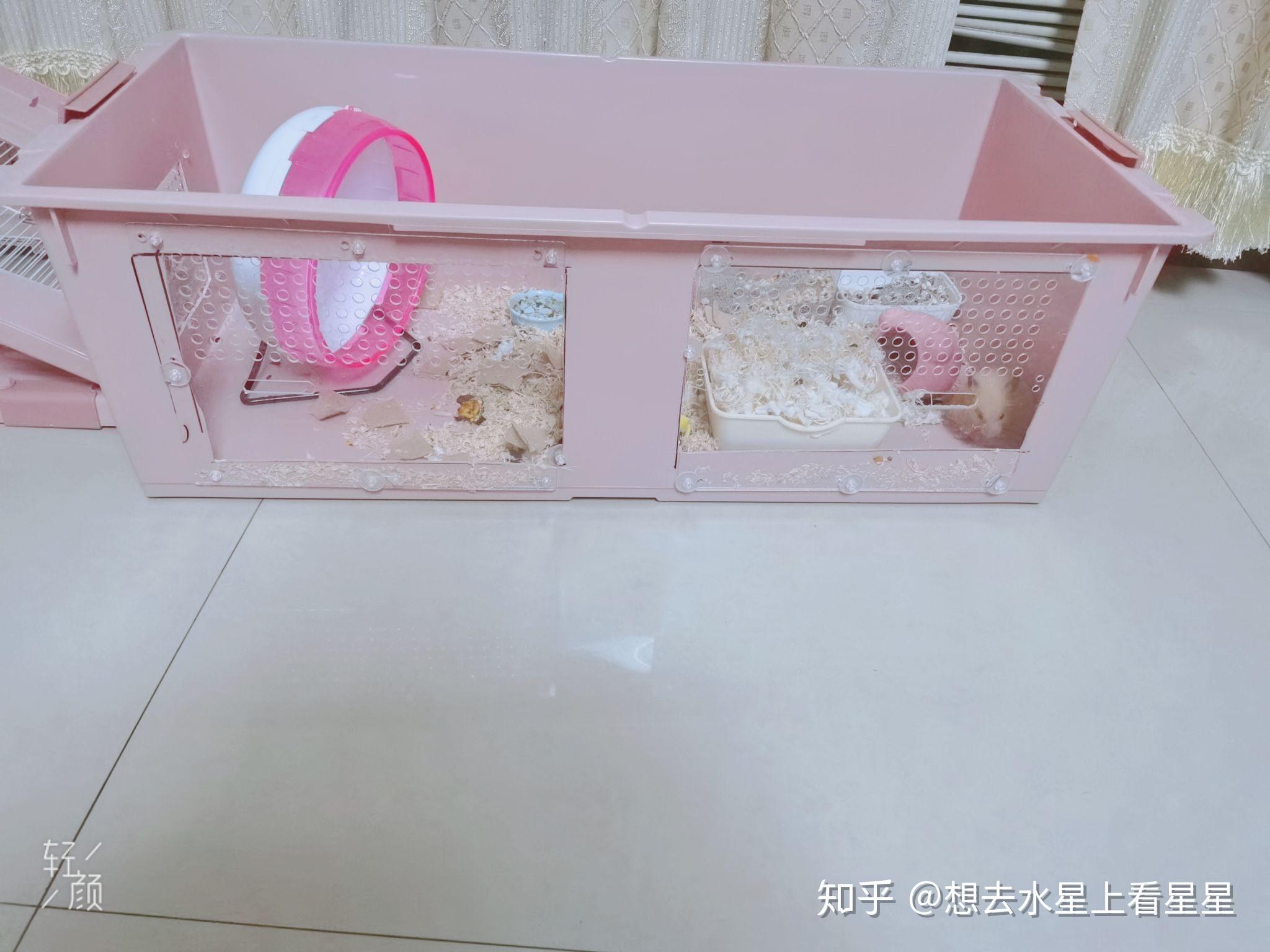 有大神知道怎么自己自制仓鼠笼子的吗家里暂时买不了笼子还有仓鼠玩具