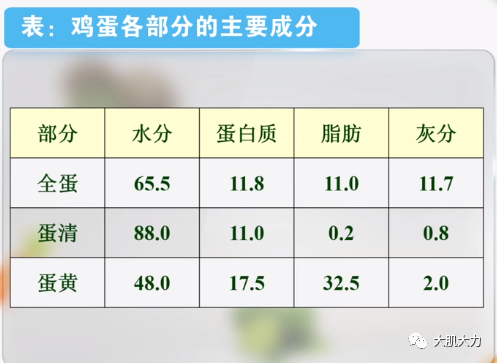关于鸡蛋的传言