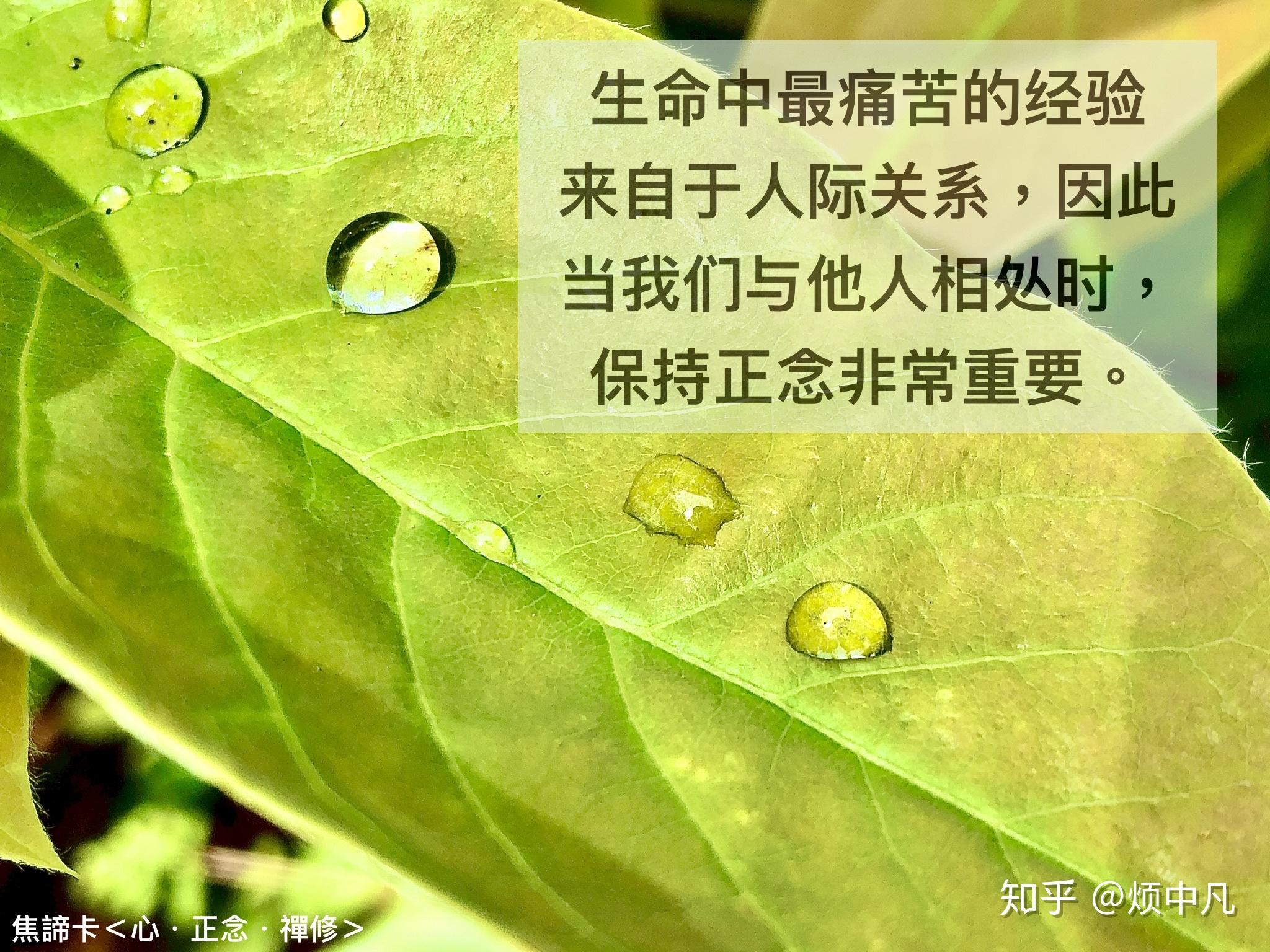 正念互动 - 知乎