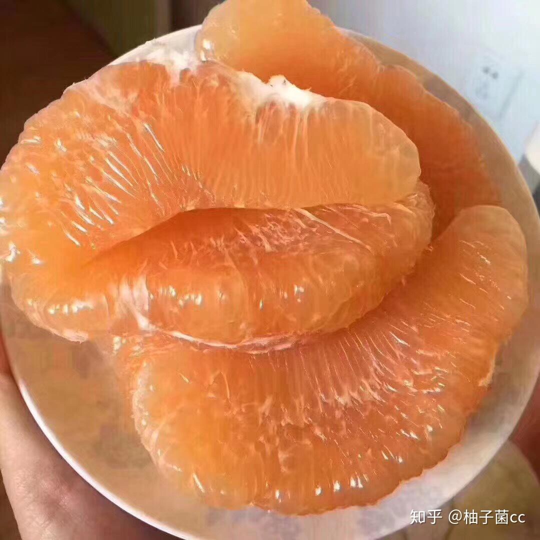 孕妇可以吃柚子不-菠萝孕育