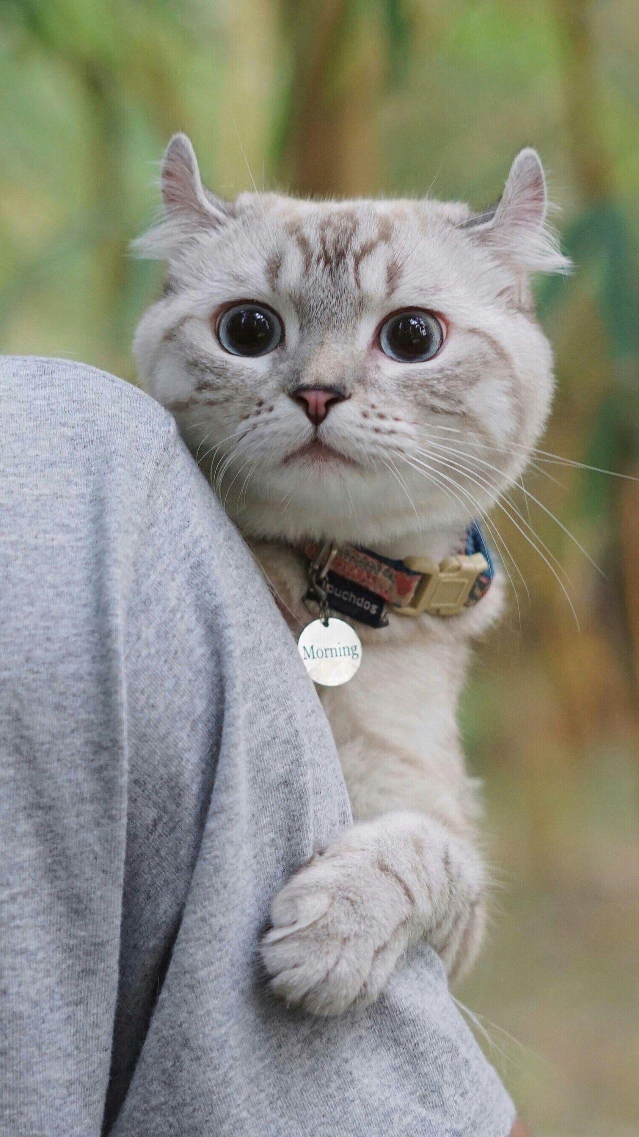 有哪些值得推荐的qq聊天背景照片