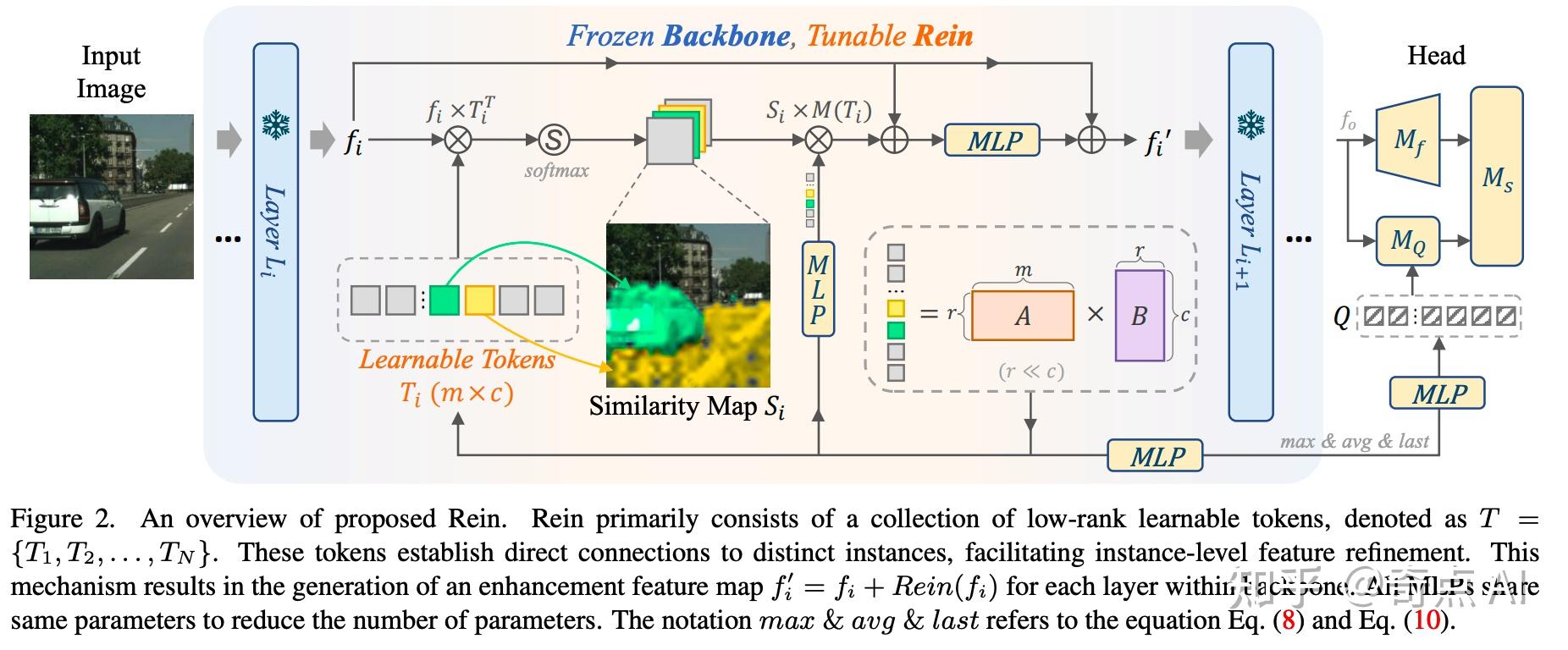 CVPR2024 | Rein：用更少的参数实现更强的语义分割模型 - 知乎