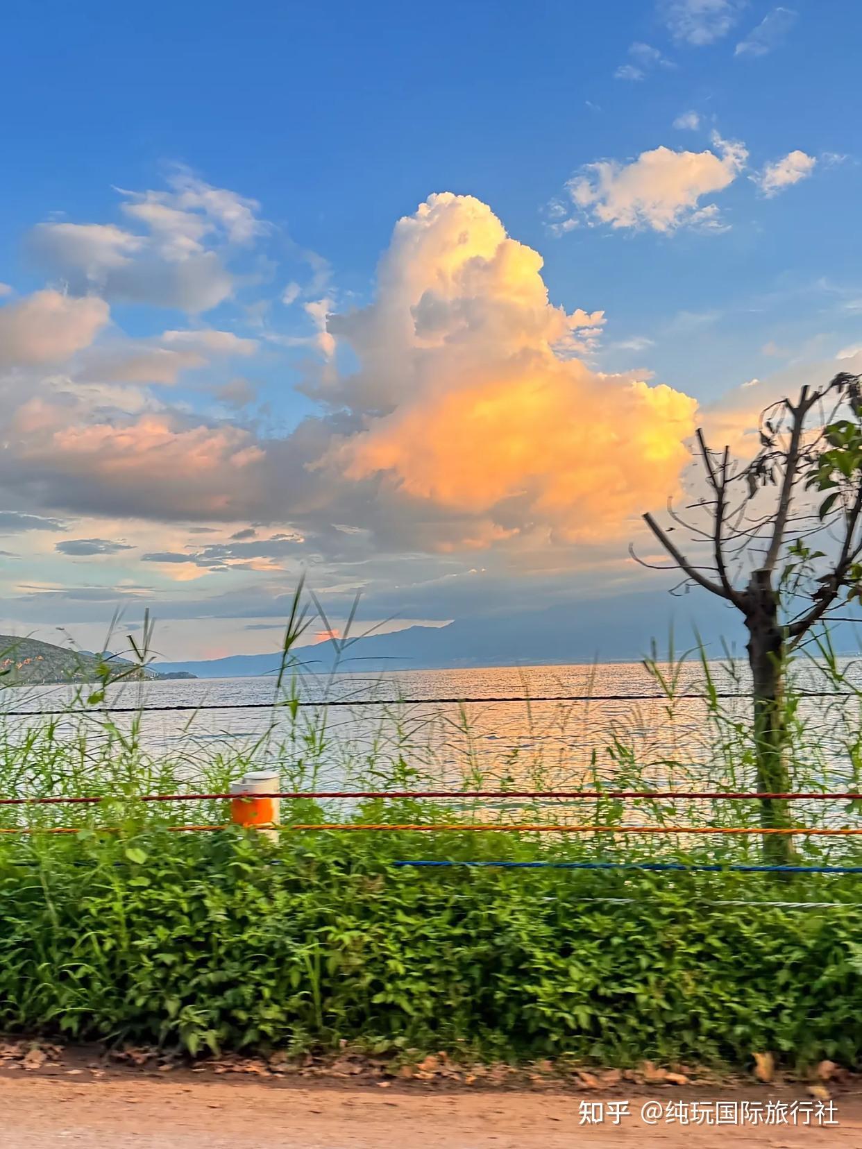 反向旅游，躲开人山人海！云南5个20℃的避暑天堂，现在去刚刚好 - 知乎