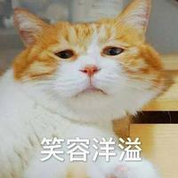 Zhihu profile picture for @cashiers