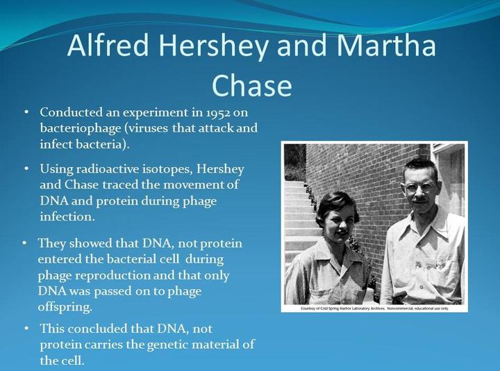 生化11赫尔希与蔡斯的噬菌体侵染实验