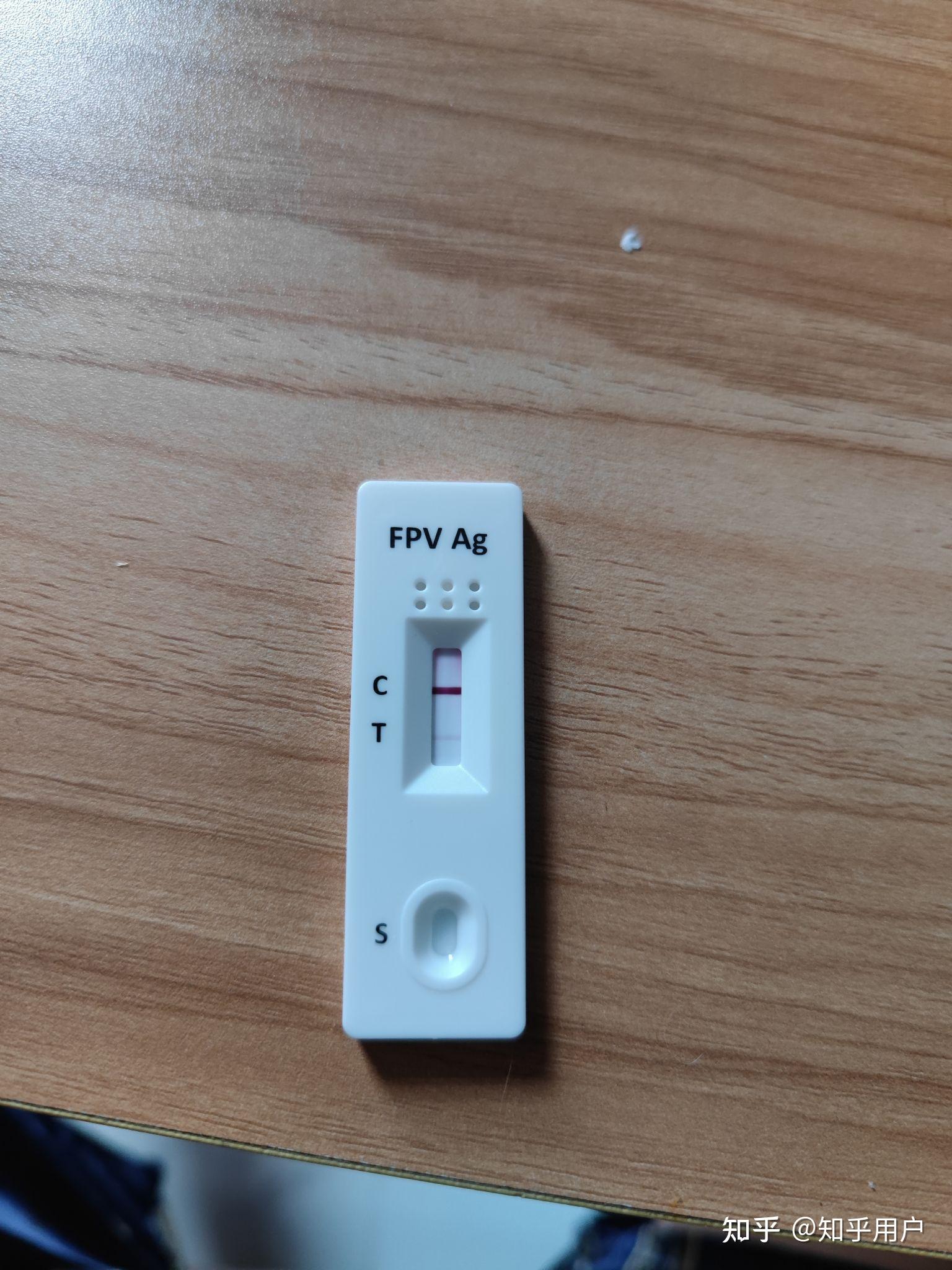 猫瘟测纸 - 知乎