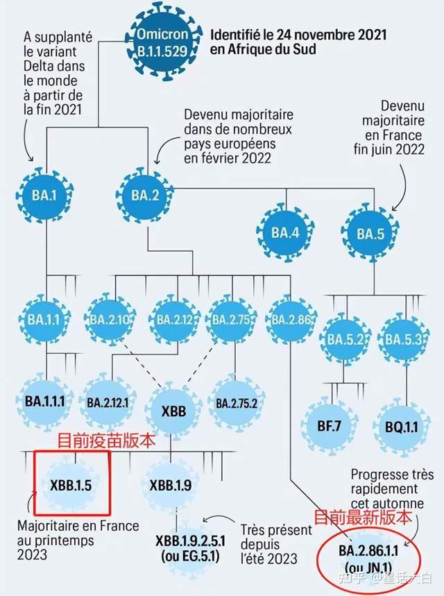 写回答 登录/注册 健康 疾病 医学 热点话题 新型冠状病毒 新冠变异株