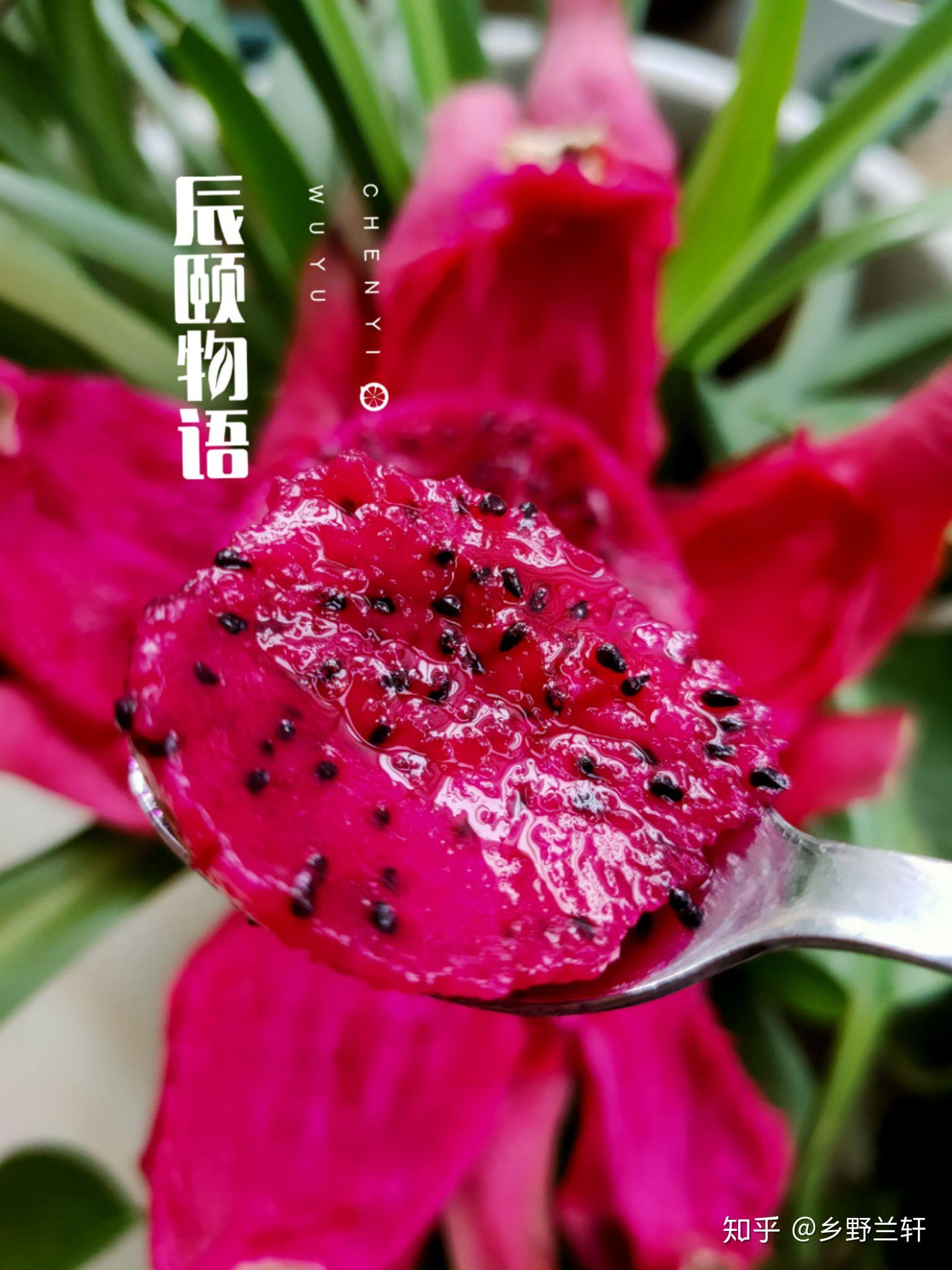 你所见过的水果有多少种颜色