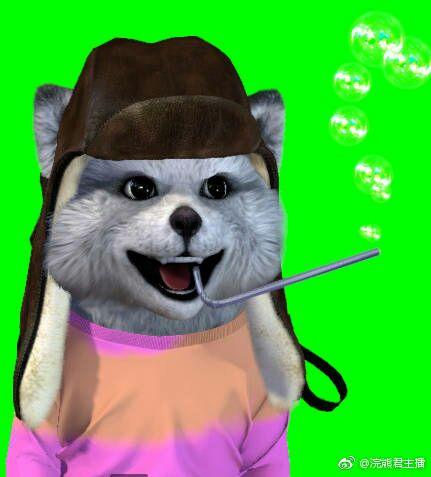 如何评价虎牙主播浣熊君