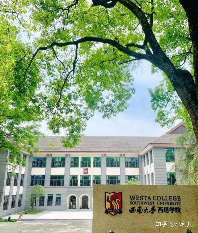 【西南大学教育学考研】"三跨"考生428高分上岸小学教育,有几点复习