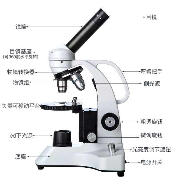 金相，生物，体视，工业检测CCD视频显微镜，测量同轴光镜头