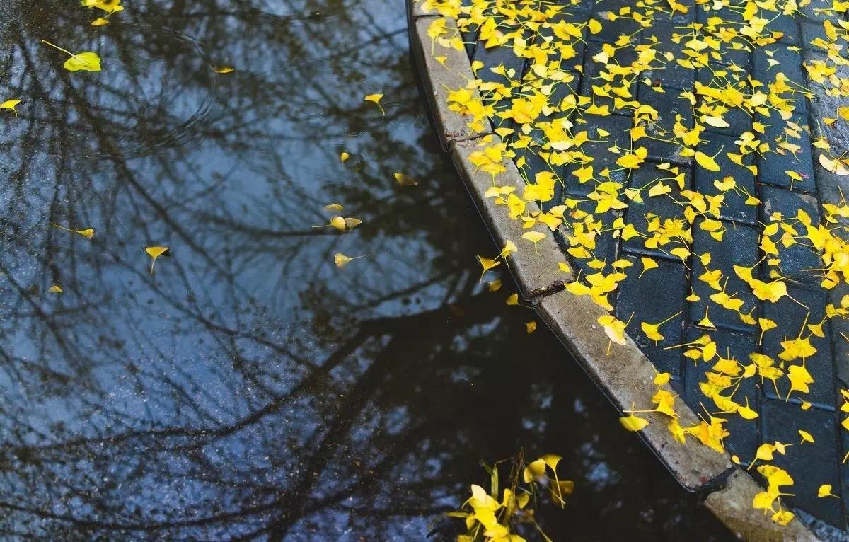 精美壁纸自然风景照