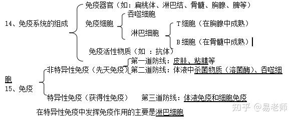 16,免疫系統的功能:防衛功能,監控和清除功能17,抗原:能夠引起機體