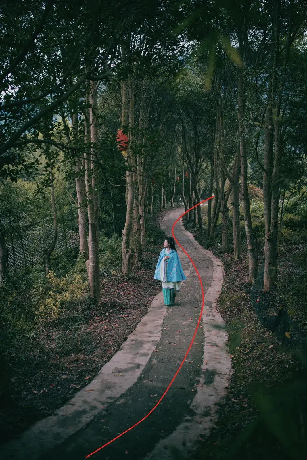 这种构图使画面看上去具有优美的韵律感.