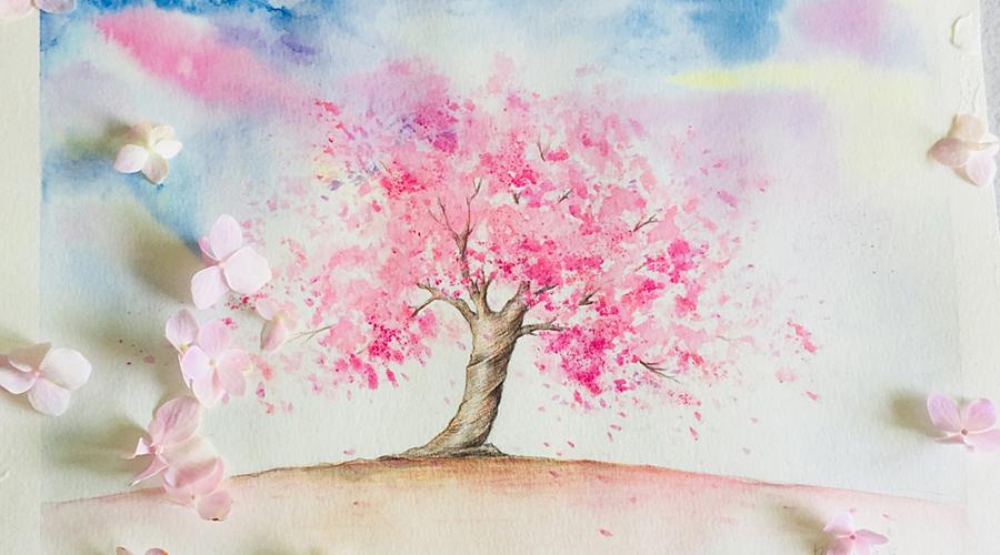 樱花树画法彩铅简笔画图片