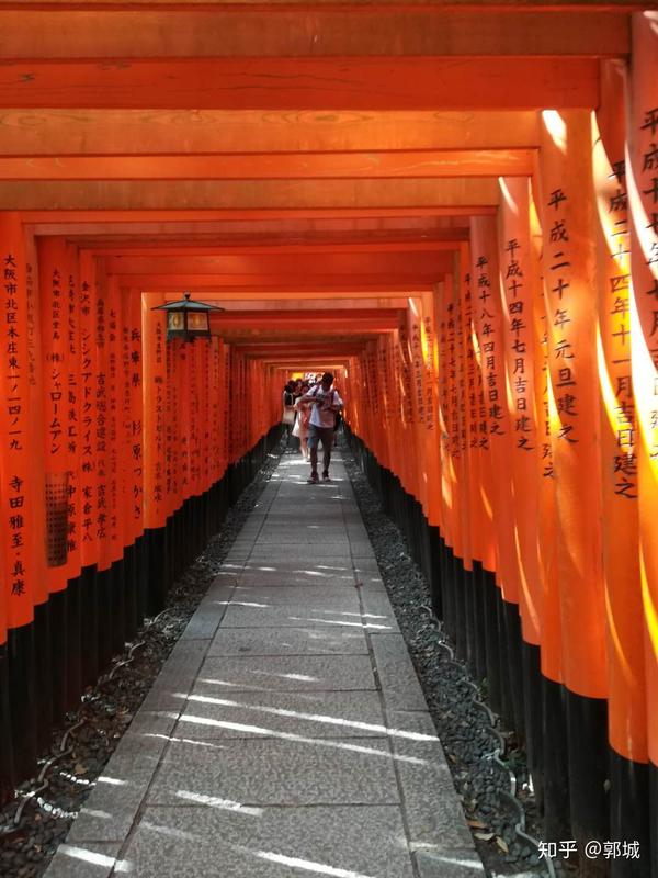 京都一日游攻略 知乎