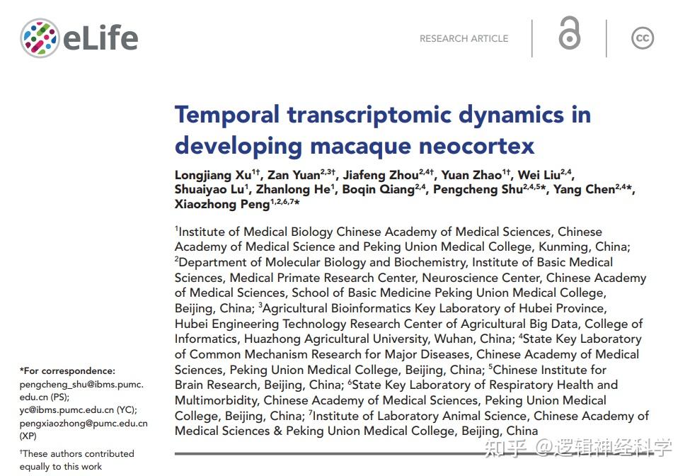 eLife︱中国医学科学院彭小忠团队绘制恒河猴胚胎期新皮层发育的时序性单细胞图谱 - 知乎
